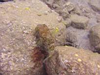20061205_MA-0624.JPG