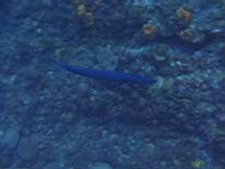 20061206_MA-0631.JPG