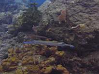20061206_MI-0638.JPG
