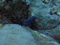 20061206_MI-0639.JPG