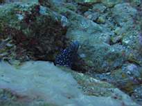 20061206_MI-0640.JPG