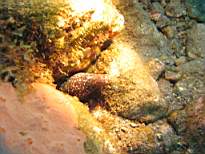 20061206_MI-0641.JPG