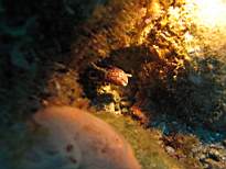 20061206_MI-0642.JPG
