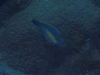 20061206_MI-0644.JPG