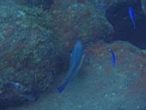 20061206_MI-0646.JPG