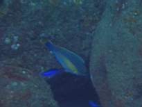 20061206_MI-0647.JPG
