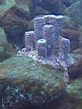 20061206_MI-0648.JPG