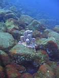 20061206_MI-0649.JPG