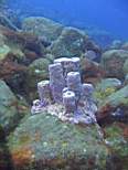 20061206_MI-0650.JPG