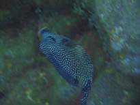20061206_MI-0652.JPG