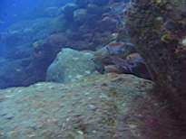 20061206_MI-0654.JPG