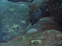20061206_MI-0655.JPG