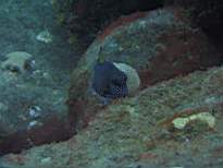 20061206_MI-0656.JPG
