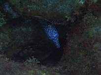 20061206_MI-0658.JPG