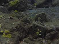 20061206_MI-0660.JPG