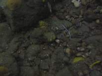 20061206_MI-0666.JPG