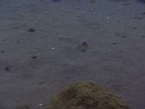 20061206_MI-0668.JPG