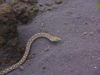 20061206_MI-0669.JPG