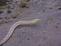 20061206_MI-0670.JPG
