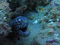 20061207_MI-0703.JPG