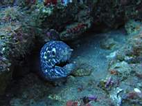 20061207_MI-0704.JPG