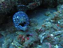 20061207_MI-0705.JPG