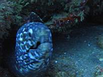 20061207_MI-0706.JPG