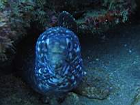 20061207_MI-0707.JPG