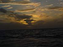 20061207_MI-0769.JPG