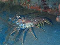 20061208_MA-0816.JPG