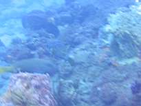 20061208_MA-0832.JPG