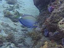 20061208_MA-0835.JPG