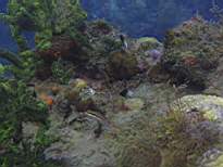 20061208_MA-0842.JPG