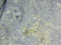 20061208_MA-0847.JPG