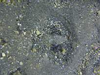 20061208_MA-0849.JPG