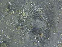 20061208_MA-0850.JPG