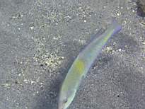 20061208_MA-0853.JPG