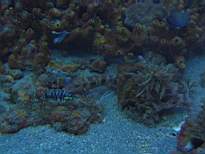 20061208_MI-0870.JPG