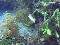 20061208_MI-0878.JPG