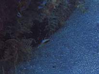 20061208_MI-0881.JPG