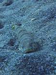 20061208_MI-0887.JPG