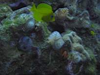 20061208_MI-0888.JPG
