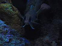 20061209_MI-0907.JPG