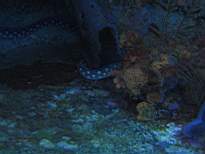 20061209_MI-0909.JPG