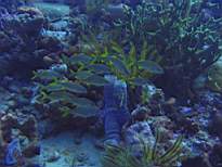 20061209_MI-0915.JPG