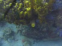 20061210_MI-0921.JPG