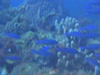 20061210_MI-0937.JPG
