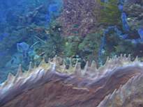 20061210_MI-0938.JPG