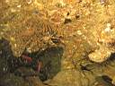 051127-mi_073.JPG