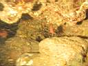 051127-mi_074.JPG